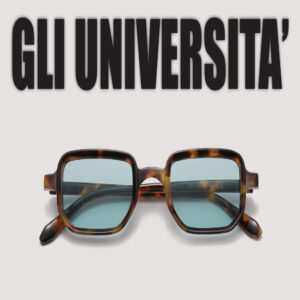 GLI UNIVERSITÀ